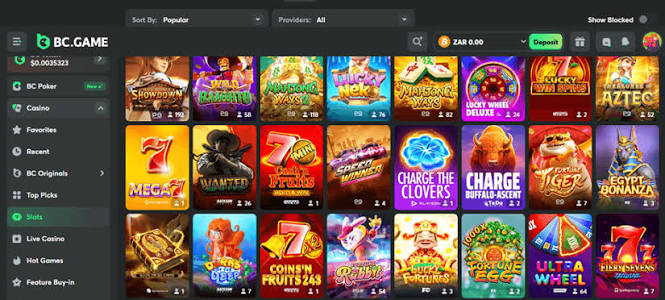 Explore the Exciting World of BC.Game Online Platform